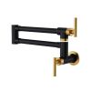304 stainless steel Wall-Mounted Potfiller modern 360-degree rotating kitchen faucet in Black + Brushed Gold