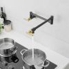 304 stainless steel Wall-Mounted Potfiller modern 360-degree rotating kitchen faucet in Black + Brushed Gold