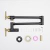 304 stainless steel Wall-Mounted Potfiller modern 360-degree rotating kitchen faucet in Black + Brushed Gold