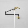 304 stainless steel Wall-Mounted Potfiller modern 360-degree rotating kitchen faucet in Black + Brushed Gold