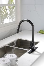 Kitchen Faucet with Pull Down Sprayer (Color: Matte black)