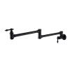 Wall-Mounted Potfiller modern 360-degree rotating kitchen faucet in Brushen Gold